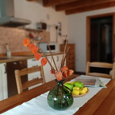 Zwei-zimmer-wohnung La Capra Ideal Fuer Paare Mit Kindern By Interhome Lejlighed Gignod