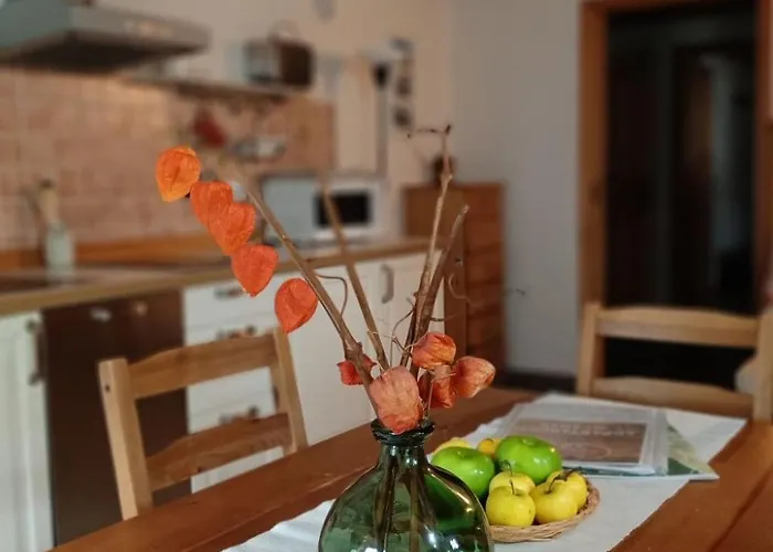 Zwei-zimmer-wohnung La Capra Ideal Fuer Paare Mit Kindern By Interhome Lejlighed Gignod